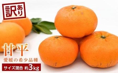 【甘平】【2027年1月下旬頃から順次発送】＜訳あり＞甘平(かんぺい) 約3kg 愛媛県松山市【KK0622】