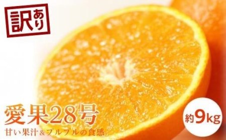 【2026年11月中旬頃から発送予定】 訳あり 愛果28号 (紅まどんな と同品種) 約9kg（ 愛媛産 愛媛県産 国産 愛媛みかん 愛媛蜜柑 愛媛ミカン みかん ミカン mikan 蜜柑 柑橘 フルーツ 果物 くだもの お取り寄せ 産地直送 数量限定 人気 おすすめ 愛媛県 松山市 送料無料 ）【KK0732】