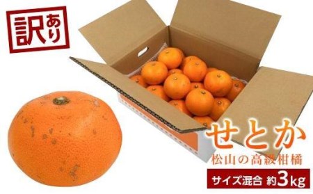 【訳あり】 せとか 約3kg 【2027年2月中旬頃から順次発送】 【せとか】【KK0742】