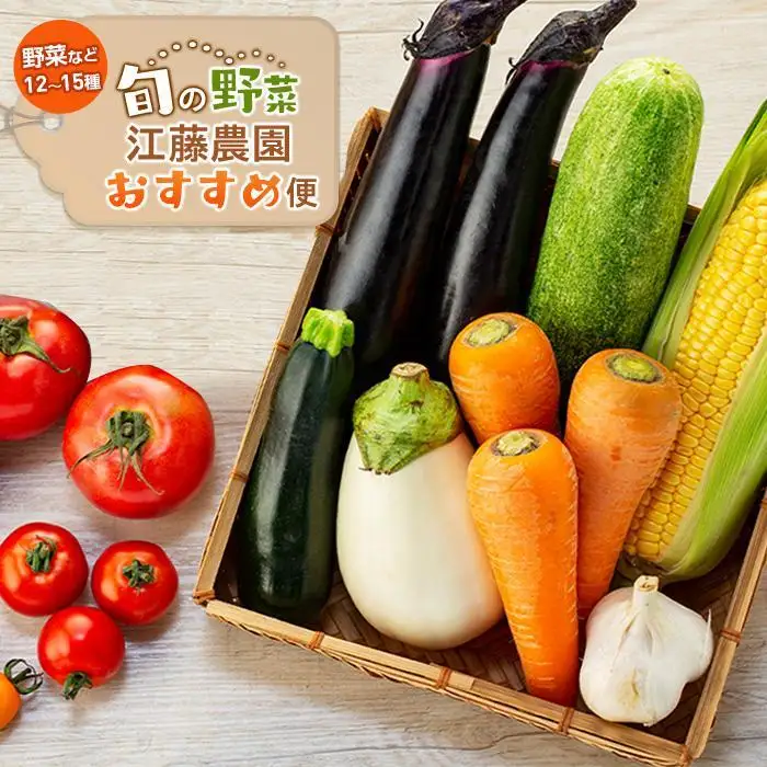 江藤農園おすすめ 湯布院の旬の野菜（12～15種類！）詰め合わせ