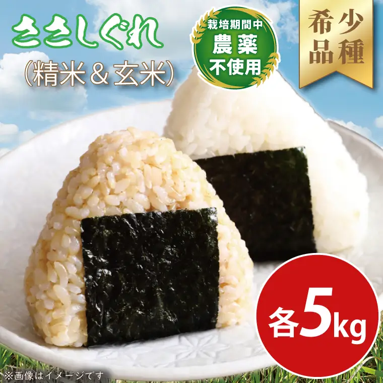 令和7年産 ささしぐれ 玄米 精米 各5㎏ DE009 
