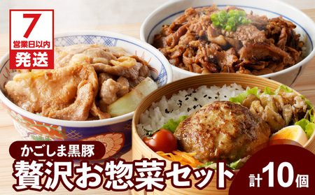 【7営業日以内に発送】【 岩元精肉店 】鹿児島県産 贅沢 お惣菜 詰合せ セット A K045-009 肉 豚肉 惣菜 総菜 冷凍 ハンバーグ スピード配送 最短 すぐ届く お急ぎ