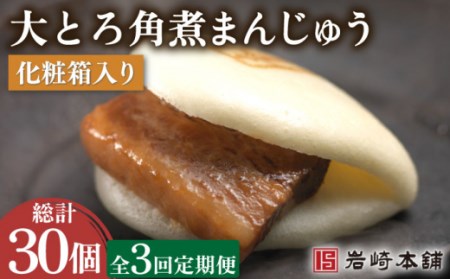 【3回定期便】大とろ角煮まんじゅう 総計30個[OCT014] 角煮まん