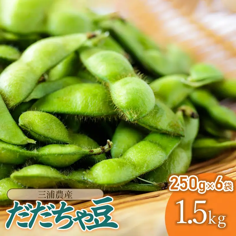 【令和8年産先行予約】 山形県鶴岡産 だだちゃ豆　約1.5kg（250g×6袋） 枝豆　三浦農産