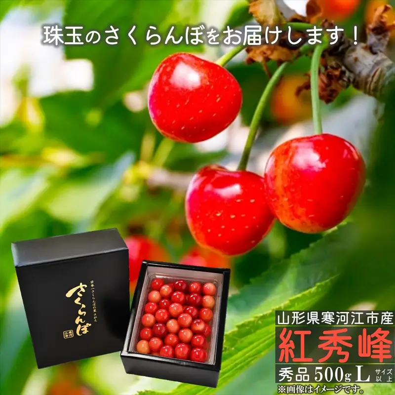 令和8年産 さくらんぼ 「紅秀峰」Lサイズ以上 秀品 500g バラ詰め 山形県産 2026年産 【2026年6月中旬頃～7月上旬頃発送予定】 ※配送不可 沖縄・離島　020-A-CS018