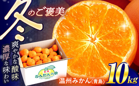 【数量限定】高糖度系 温州みかん(青島) 約10kg[OAF006] ミカン