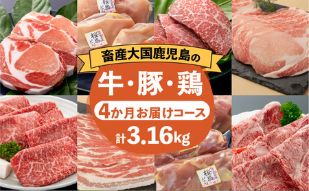 【 岩元精肉店 】 鹿児島県産 精肉 厳選 4か月 お届け コース K045-T04 肉 豚肉 牛肉 鶏肉 冷凍