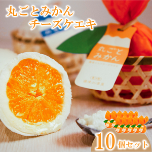 丸ごとみかんチーズケエキ 10個セット チーズケーキ お菓子 スイーツ おやつ ケーキ チーズケーキ スイーツ ケーキ チーズケーキ 道後 愛媛県 松山市【ME004_x】