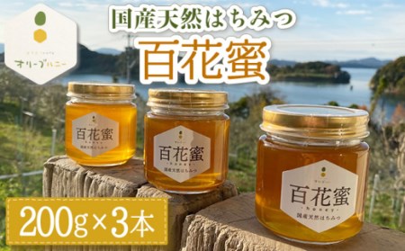 百花蜜 国産天然はちみつ 200g × 3本〈嬉しい贈答箱入り！〉【オリーブハニー】[OCG004]
