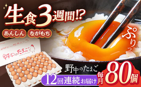 【12回定期便】産みたて新鮮たまご 野中のたまご 80個[OAC009]