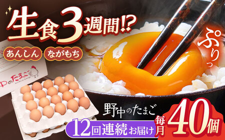 【12回定期便】産みたて新鮮たまご 野中のたまご 40個[OAC006]