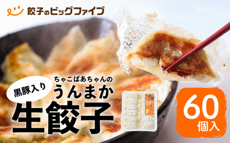 ちゃこばあちゃんの黒豚入りうんまか生餃子 60個入り K027-001 肉 豚肉 惣菜 総菜 冷凍