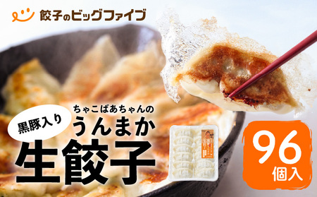 ちゃこばあちゃんの黒豚入りうんまか生餃子 96個入り K027-002 肉 豚肉 惣菜 総菜 冷凍