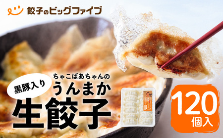 ちゃこばあちゃんの黒豚入りうんまか生餃子 120個入り K027-003 肉 豚肉 惣菜 総菜 冷凍
