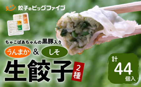 ちゃこばあちゃんの黒豚入りうんまか・しそ生餃子 計44個入り K027-004 肉 豚肉 惣菜 総菜 冷凍