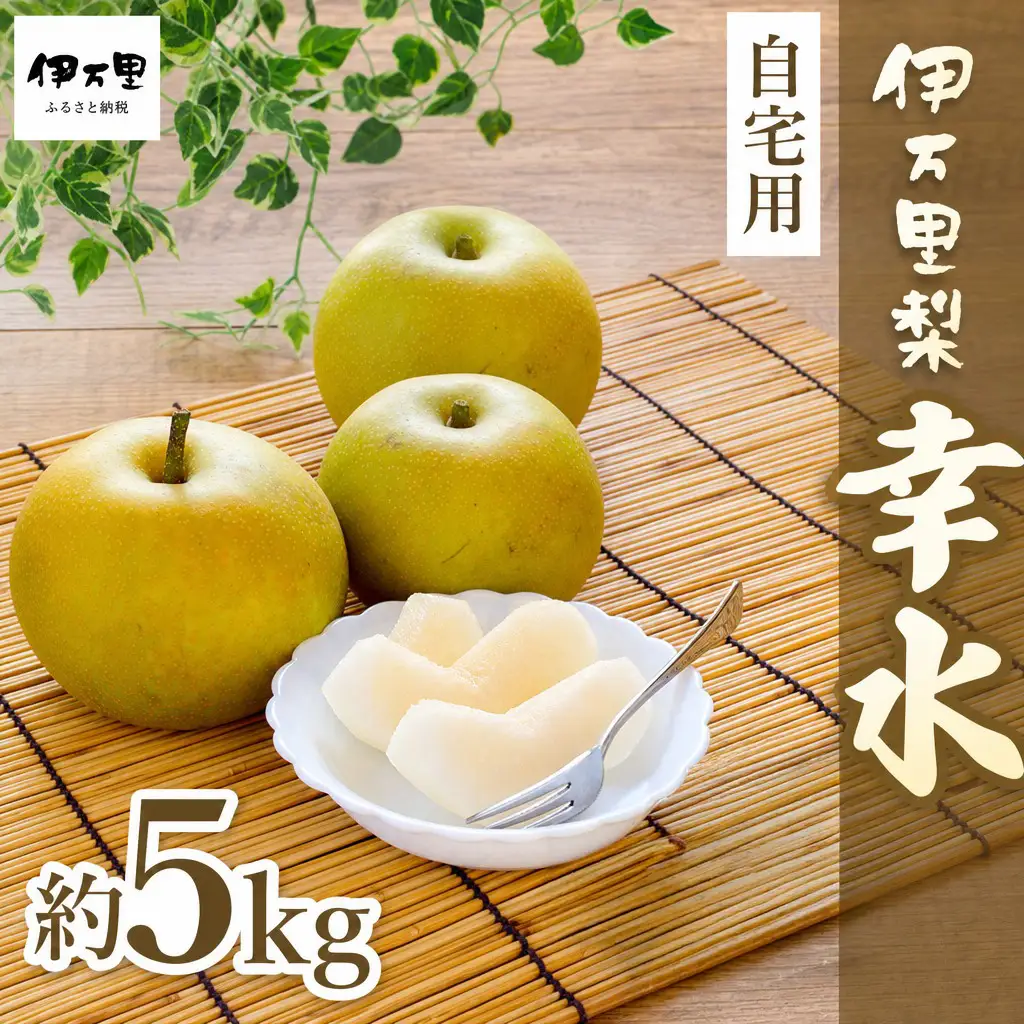 【令和8年産先行予約】伊万里梨 「幸水」 約5kg ご自宅用におすすめ 178-B938