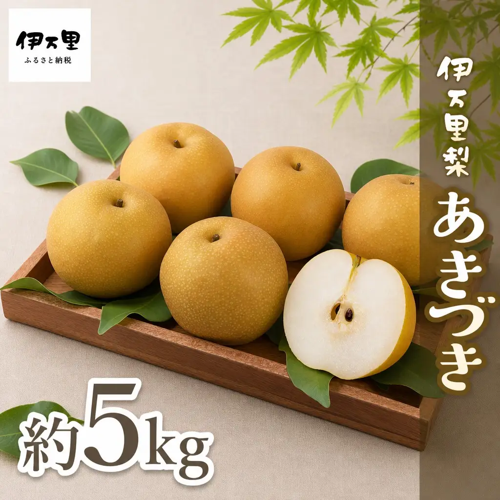 【令和8年産先行予約】伊万里梨「あきづき」 約5kg  178-B940