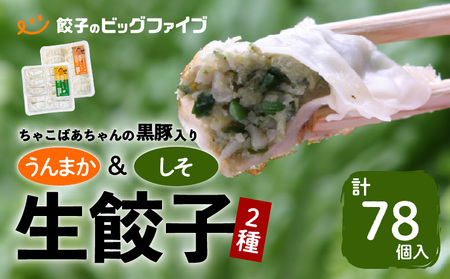 ちゃこばあちゃんの黒豚入りうんまか・しそ生餃子 計78個入り K027-005 肉 豚肉 惣菜 総菜 冷凍