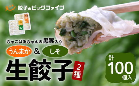 ちゃこばあちゃんの黒豚入りうんまか・しそ生餃子 計100個入り K027-006 肉 豚肉 惣菜 総菜 冷凍