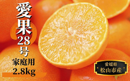 【2026年12月頃から順次発送】愛果28号 (紅まどんな と同品種) 約2.8kg 家庭用 【PT0012】