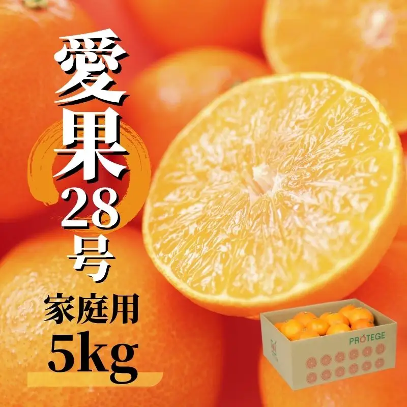 【2026年12月頃から順次発送】愛果28号 (紅まどんな と同品種) 5kg 家庭用  | 愛媛産 愛媛県産 国産 愛媛みかん 愛媛蜜柑 愛媛ミカン みかん ミカン mikan 蜜柑 柑橘 フルーツ 果物 くだもの お取り寄せ 産地直送 数量限定 人気 おすすめ 愛媛県 松山市 送料無料 ）【PT0021】