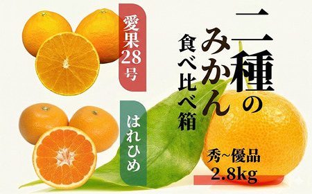 【早期予約受付中！2026年12月より順次発送】二種のみかん食べ比べ箱 愛果28号・はれひめ(秀~優品) 約2.8kg【PT014_x】