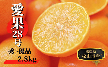 【2026年12月頃から順次発送】愛果28号 (紅まどんな と同品種) 約2.8kg 秀~優品 | 愛媛県産 みかん 蜜柑 オレンジ 柑橘 果物 フルーツ お取り寄せ おすすめ 愛媛県 松山市【PT0161】