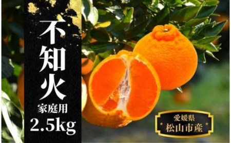 【でこぽんと同品種】 不知火 家庭用 約 2.5kg ＜2027年3月中旬頃～4月頭頃発送＞  デコポン【PT029_x】