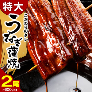 うなぎの蒲焼ビッグサイズ　2尾（計600g前後）_K04705