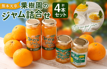 熊本 天草の果樹園 ジャム詰め合わせ みかんジャムソース×2本 不知火ジャム×1本 晩柑×1本 3種 セット