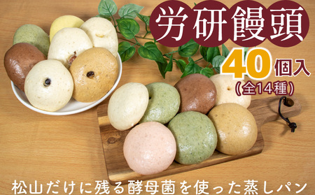 労研饅頭（ろうけんまんとう） 40個 全14種類 パン 蒸しパン 菓子パン お取り寄せスイーツ おやつ 和スイーツ あんこ 製菓 冷凍食品 酵母 酵母菌 ギフト 愛媛県 松山市【TKU0042_x】
