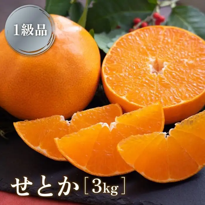 【一級品】せとか みかん  3kg    柑橘 蜜柑 愛媛県 松山市【TMN017_x】