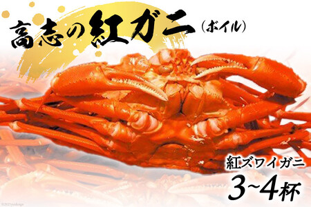 紅 ズワイガニ ボイル「高志の紅ガニ」3～4杯《10月前半～5月後半お届け》カニ 蟹 期間限定 冷蔵/くろべ漁業協同組合 魚の駅「生地」/富山県 黒部市 かに 海鮮 魚介類 魚介 ずわい蟹 