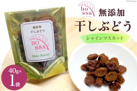 無添加 干しぶどう シャインマスカット 40g×1袋 期間限定 国産 レーズン ドライフルーツ 砂糖不使用 ブドウ 葡萄 加工食品 お菓子 スイーツ おやつ 