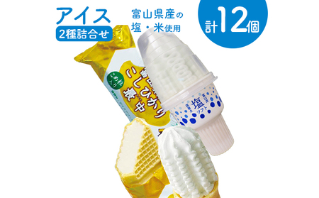 アイス 詰め合わせ 塩ソフト＆富山県産こしひかり最中 計12個 アイスクリーム ソフトクリーム モナカ/横山冷菓/富山県 黒部市 お菓子 菓子 