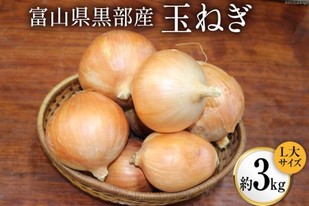 玉ねぎ 1箱 約3kg（L大サイズ）/くろべの太陽/富山県 黒部市 野菜 たまねぎ タマネギ 