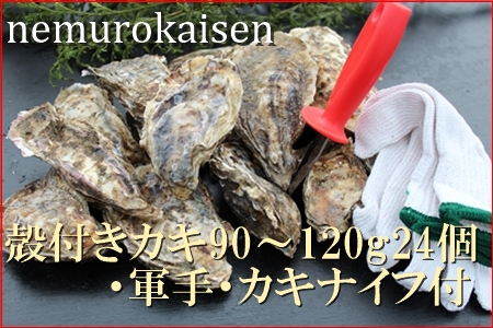 【北海道根室産】殻付カキ90～120g×24個 C-57036