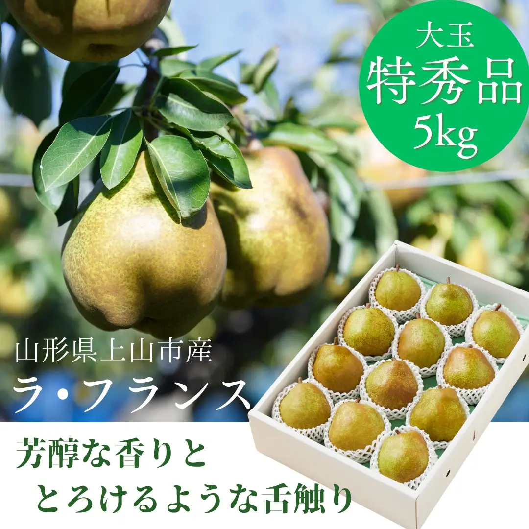 西洋梨（ラ・フランス）５ｋｇ　特秀品　0055-2613