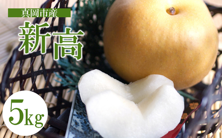 【2026年先行予約】 新高 5㎏ 真岡市産 梨 なし