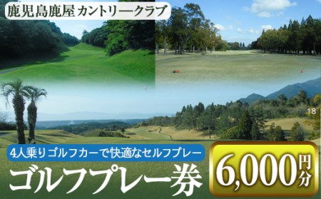 2055 ゴルフプレー券（6000円分） KN085-001-02 体験チケット