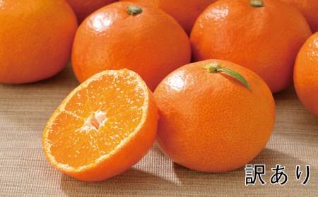みかん ミカン 柑橘 温州みかん 早生みかん 訳あり 果物 フルーツ / 訳あり サイズL以下 岡農園の 早生温州みかん 約9kg 【2026年11月中旬から12月中旬に順次発送予定】【mok018A】