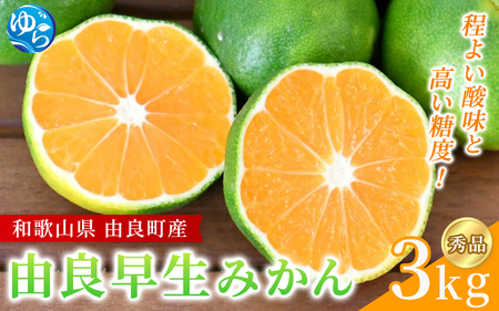 【2026年秋・先行予約】秀品 由良早生みかん 約3kg サイズおまかせ ※2026年10月上旬～10月下旬頃に順次発送【sml107C】