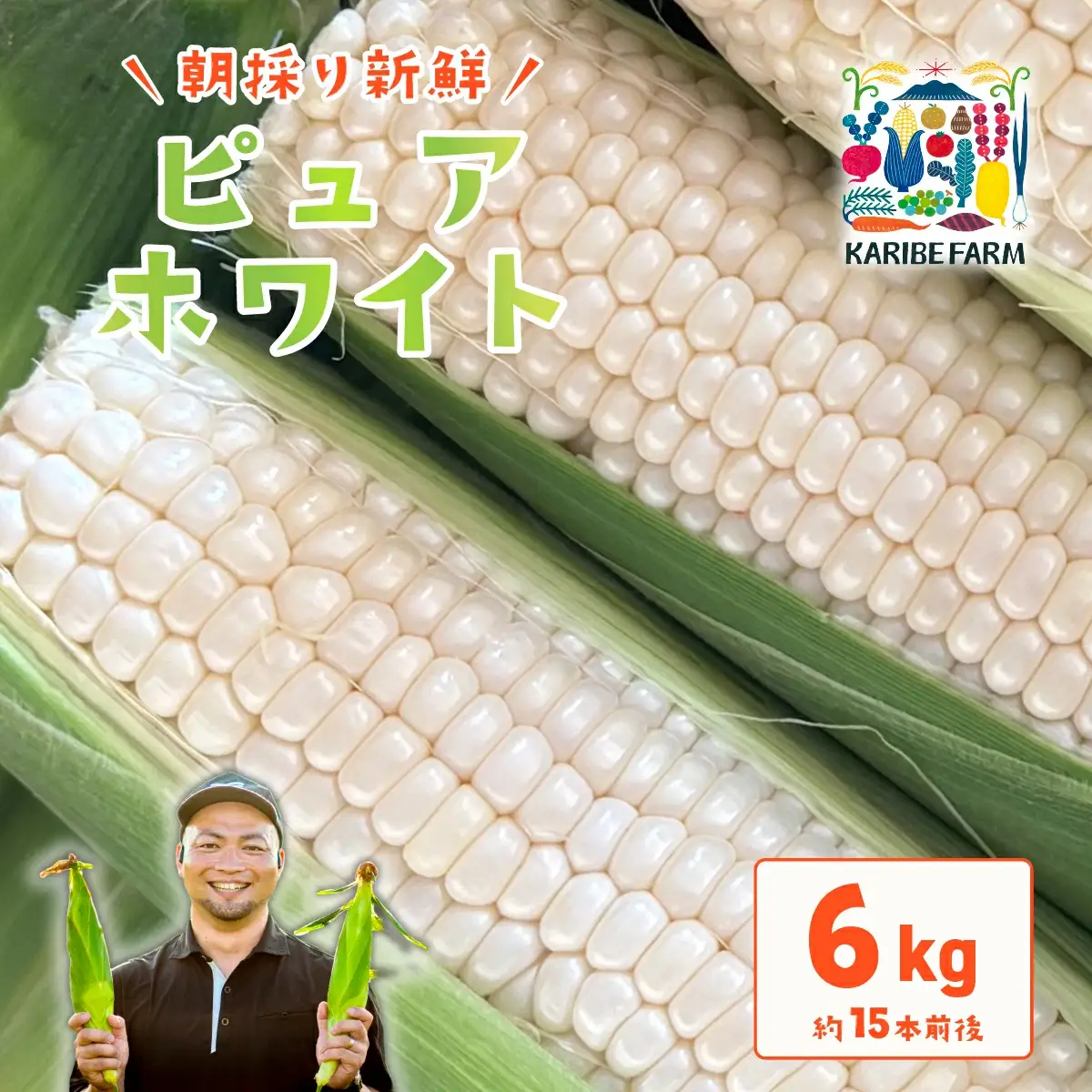 とうもろこし ピュアホワイト 6kg 先行予約 トウモロコシ