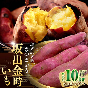 ＜2026年8月下旬以降発送・先行予約＞ホクホク系さつまいも「坂出金時いも」約5kg×2箱　2L～Mサイズ | サツマイモ
