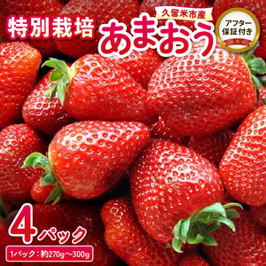 【2026年11月から順次発送】特別栽培あまおう 4パック ふくおかエコ農産物_いちご あまおう 果物 フルーツ〔Fi003〕