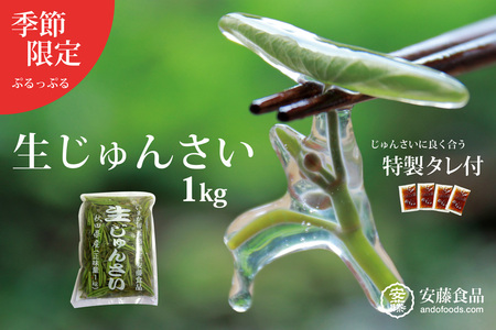 生じゅんさい1kg ゆずタレ４個 《冷蔵》（2026年5月上旬頃～7月下旬までに発送予定） 令和8年産 2026年産 先行受付  秋田県産 三種町産