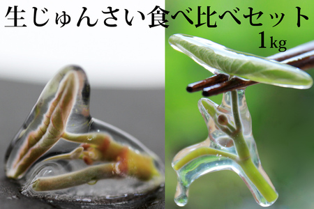 生じゅんさい食べ比べセット1kg タレ4個（生じゅんさい500g、特選生じゅんさい500g） 《冷蔵》（2026年5月上旬頃～7月下旬までに発送予定） 先行受付