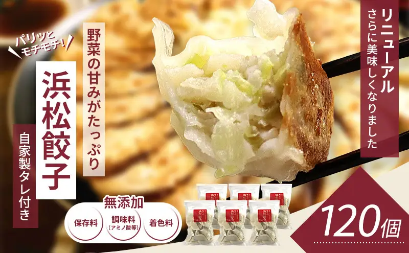 浜松餃子 知久屋 どっさり セット 120個 (20個×6袋) 詰め合わせ 自家製 たれ 24袋 ぎょうざ 餃子 ギョーザ 冷凍餃子 冷凍ぎょうざ 冷凍 冷凍食品 中華 惣菜 食品 おかず 静岡 静岡県 浜松市 【配送不可：離島】