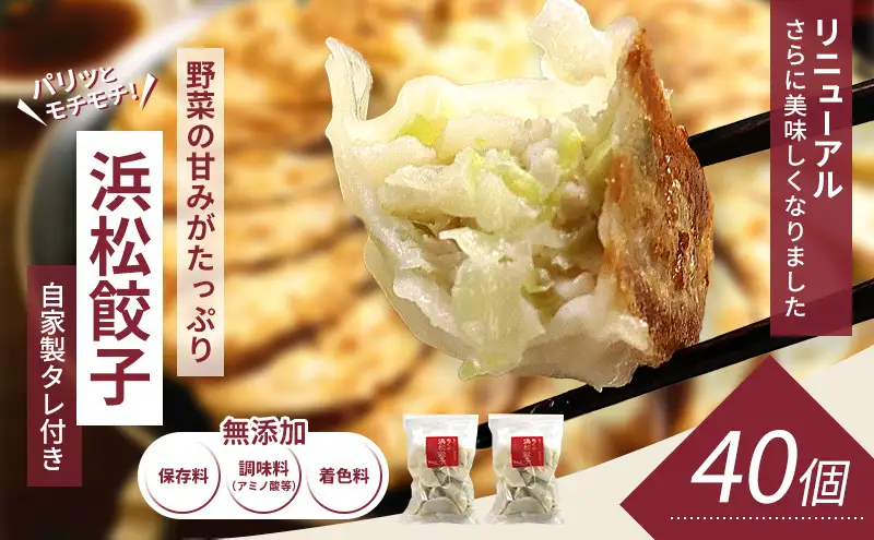 浜松餃子 40個 (20個×2袋) セット 詰め合わせ 餃子のたれ 小袋 知久屋 国産 ぎょうざ 餃子 ギョーザ 冷凍餃子 冷凍ギョーザ 工場直送 ヘルシー あっさり 惣菜 中華 点心 静岡 静岡県 浜松市 【配送不可：離島】