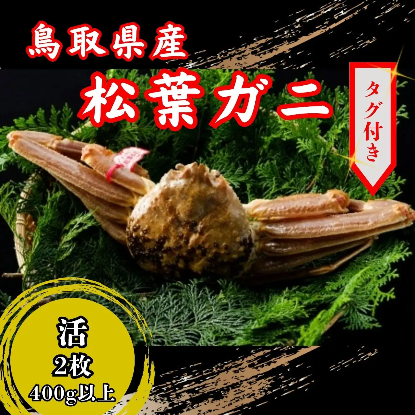 【’26先行予約】鳥取県産　タグ付き活松葉がに　400g以上×2枚 [84]